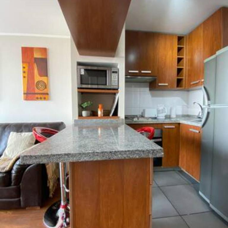 Hermoso departamento a pasos de UdeC - Apartamento de 1 dormitorio - 28