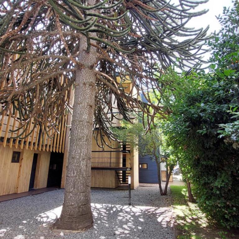 Hermoso departamento de 3 ambientes con amplio jardin. 1V5 - Apartamento de 2 dormitorios - 30