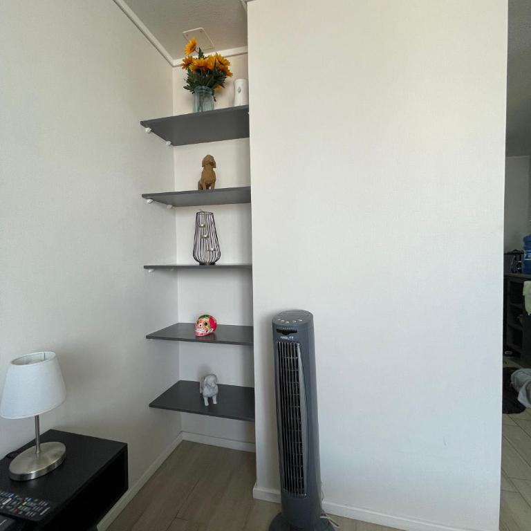 Apartamento en Santiago centro cerca de movistar arena, caupolican - Apartamento de 1 dormitorio - 13