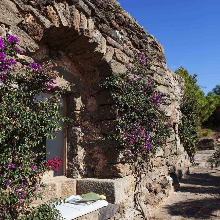 Tenuta Borgia - Villa con 2 Camere da Letto (Palmeto) - 17