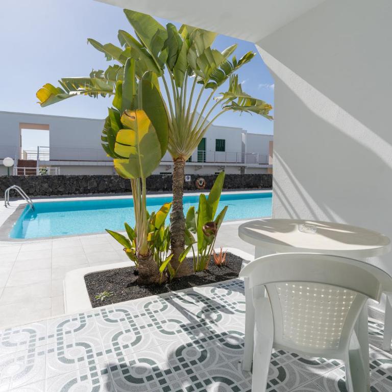 Apartamentos Aloe - One-Bedroom Apartment (2 Adults) - 21