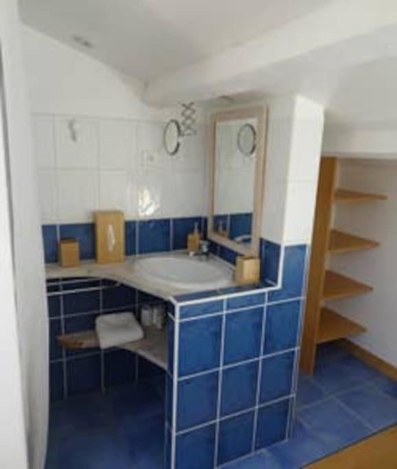 La bastide de LORGUES 83 - Maison 6 Chambres - 24