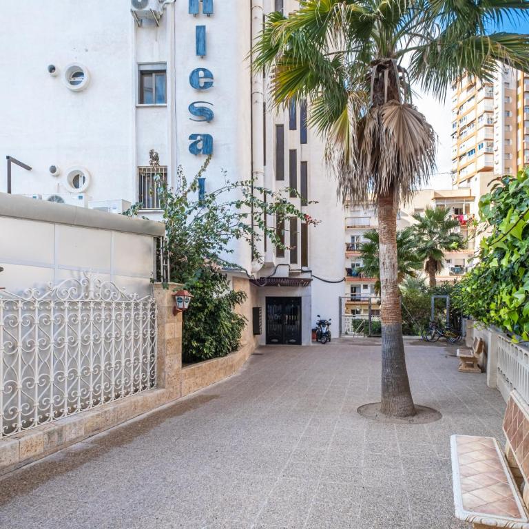 Inlesa 4-B - Apartamento - 25