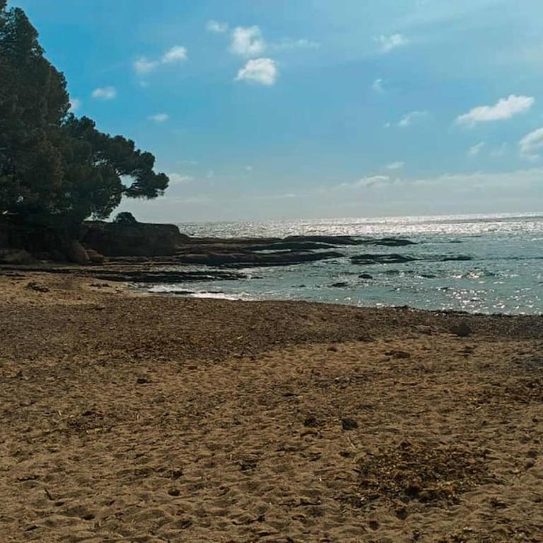 Superbe villa accès direct plage - Villa mit 2 Schlafzimmern - 7