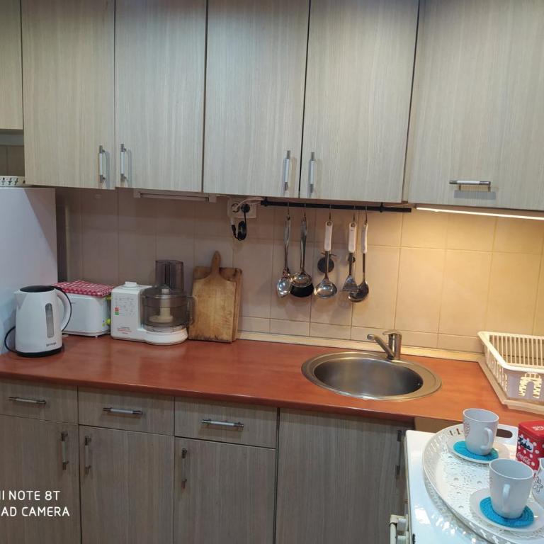 KosMaj Dan Belgrade, Sopot - Kuća sa 1 Spavaćom Sobom - 32