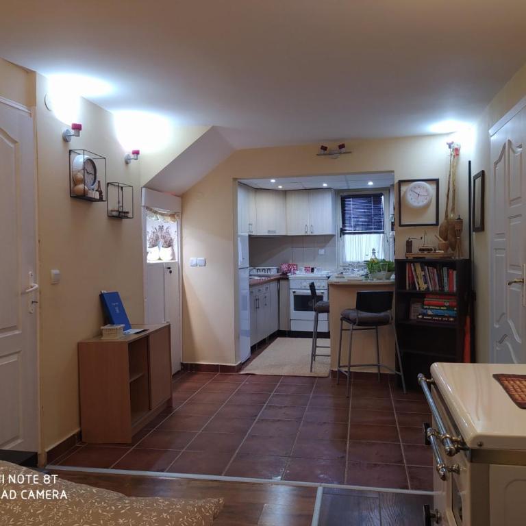 KosMaj Dan Belgrade, Sopot - Kuća sa 1 Spavaćom Sobom - 35