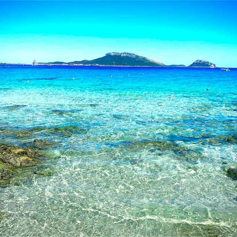 Villaggio Terrata Golfo Aranci - Appartamento con 1 Camera da Letto - 5