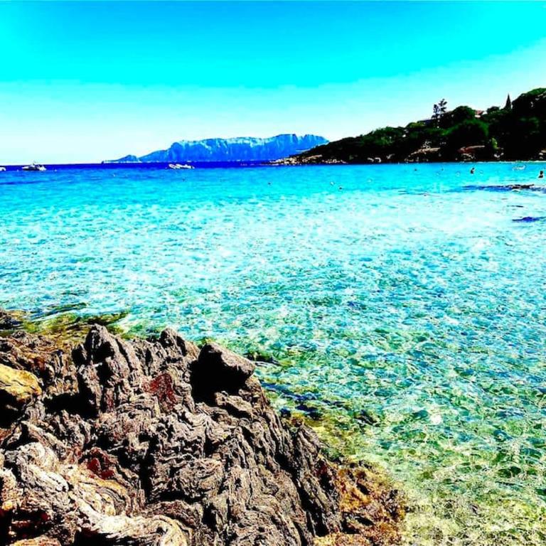 Villaggio Terrata Golfo Aranci - Appartamento con 1 Camera da Letto - 41