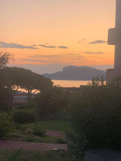 Villaggio Terrata Golfo Aranci - Appartamento con 1 Camera da Letto - 43