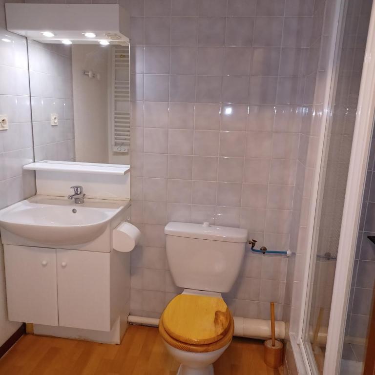 Studio 2* pour 4 pers avec vue montagne, parking inclus, animaux admis - Studio - 11