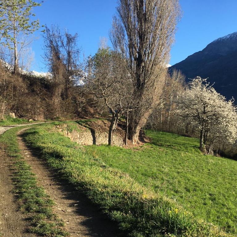 La casa del bosco - Appartamento - 19