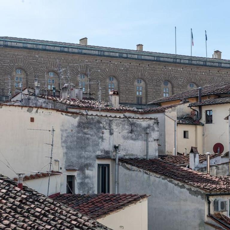 [View of Pitti Palace] Elegant Loft - Appartamento con 1 Camera da Letto - 18