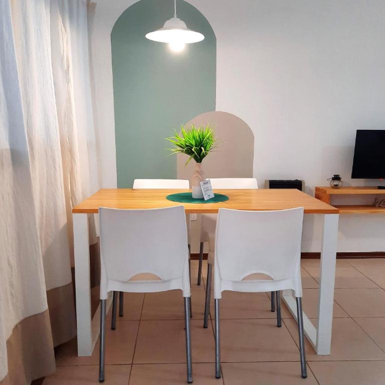 Departamentos René - Apartamento - Planta baja - 14