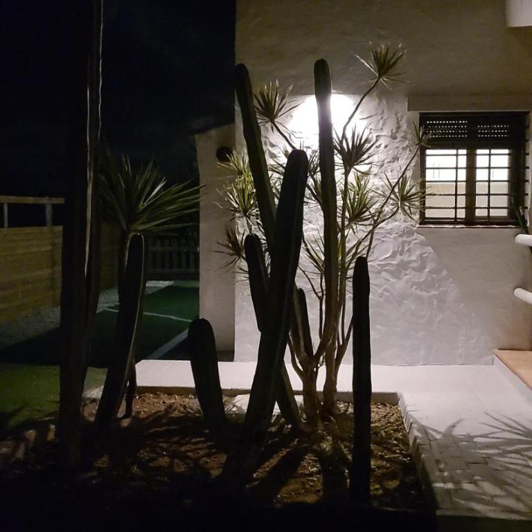 Kalma experiencias turísticas - Casa de 3 dormitorios - 9