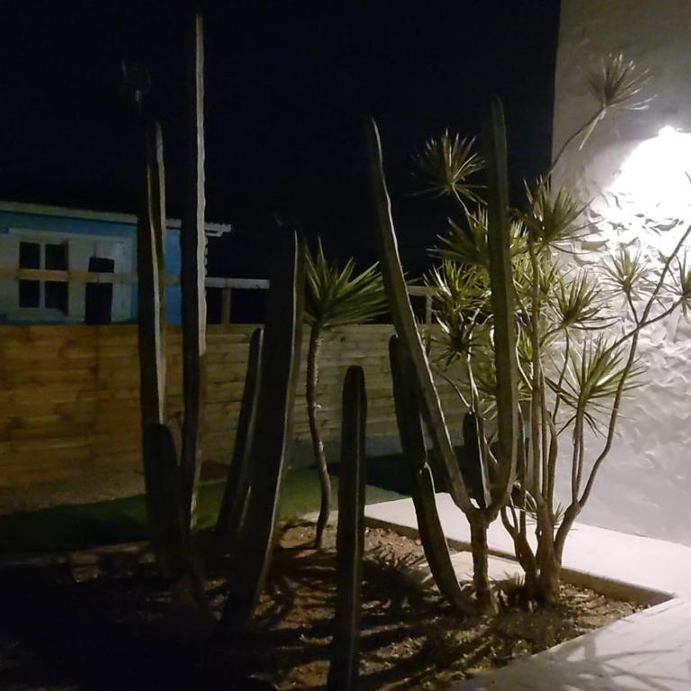 Kalma experiencias turísticas - Casa de 3 dormitorios - 24