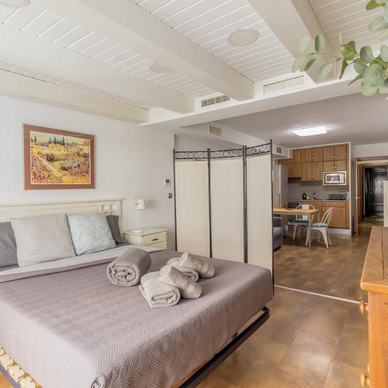 Loft con terraza centro Valencia - One-Bedroom Apartment - 6