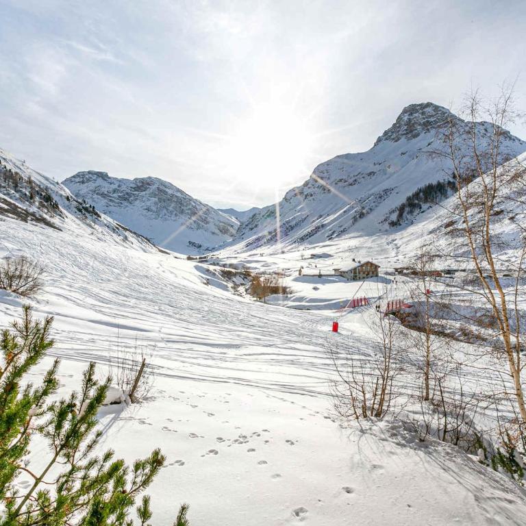 Appartement de standing avec cheminée et parking en haut des pistes - FR-1-694-247 - Appartement - 10