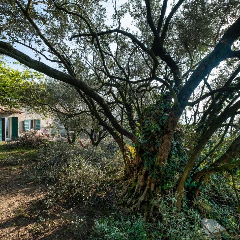 Ca Del Vajo Valpolicella House - Casa con 3 Camere da Letto - 3