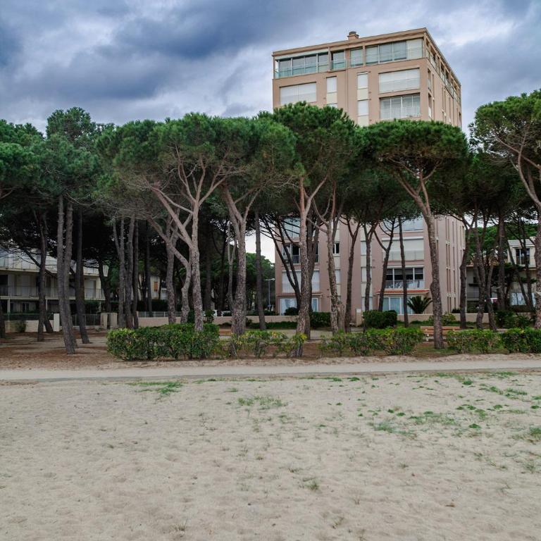Studio les pieds dans l'eau Argeles Sur Mer - Studio - Vue sur Mer - 5