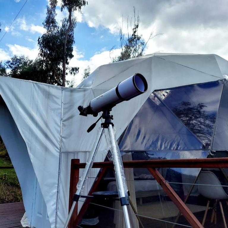 Golden Glamping - Habitación con cama extragrande. - 10