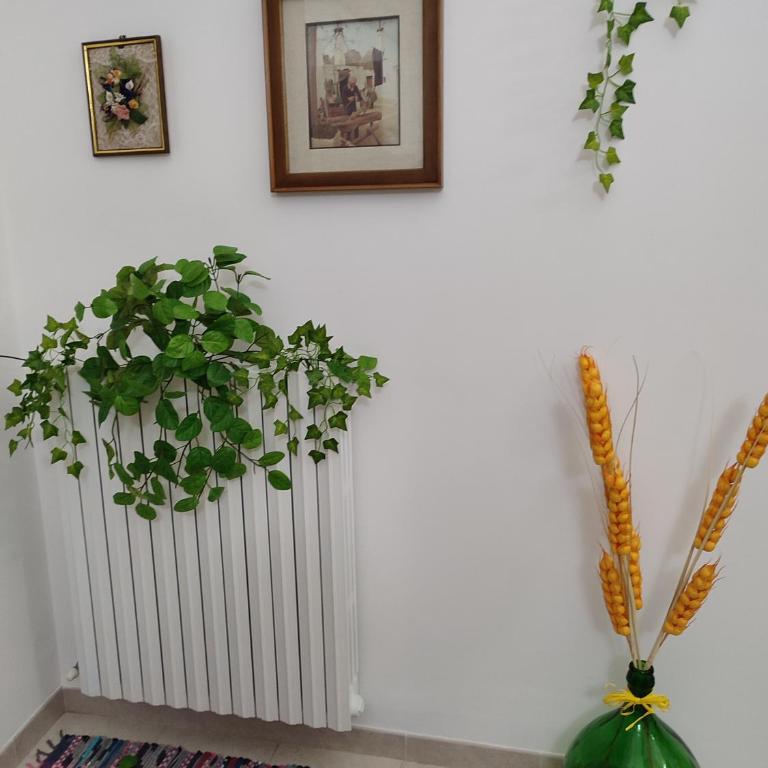B&B Aquila - Appartamento Classic - 28