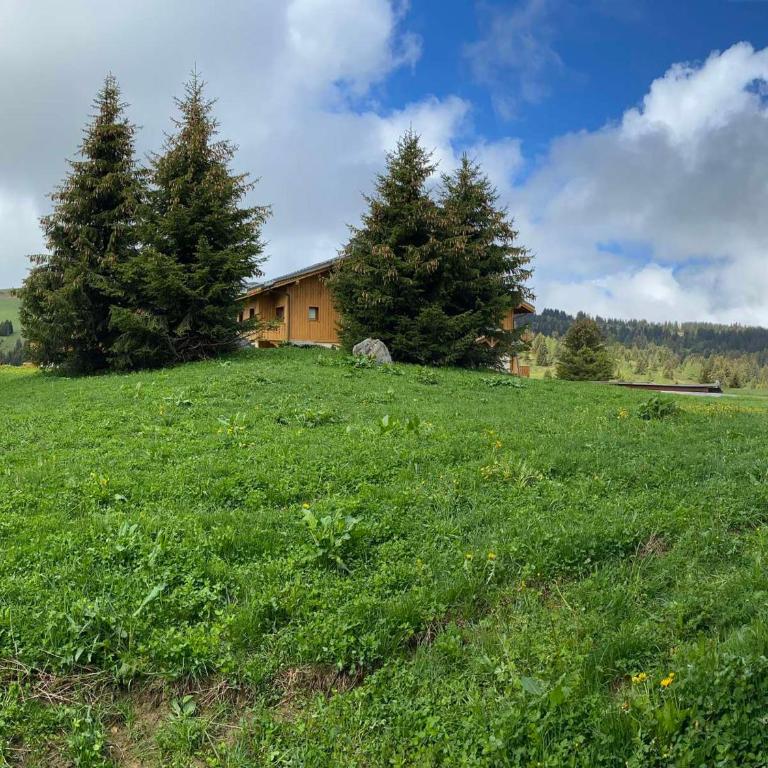Appartement T3 aux Saisies - 6 pers, Parking - FR-1-293-345 - Appartement (6 Adultes) - 8