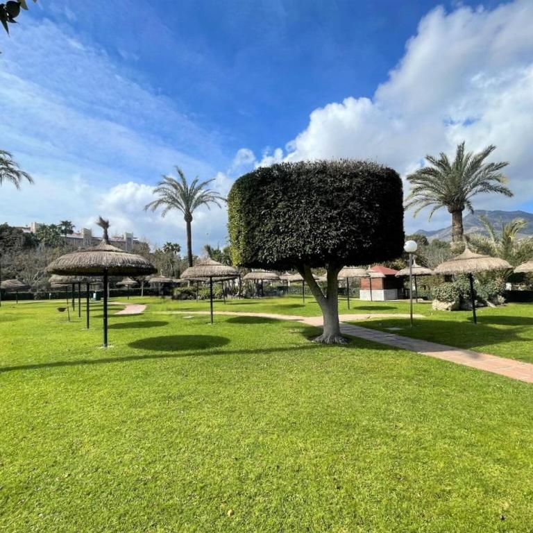 Beachfront Apartment with Terrace - Two-Bedroom Apartment - 30
