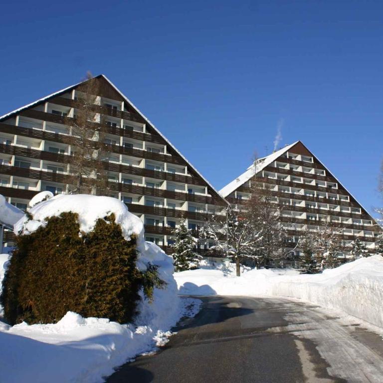 Apartment in Bad Mitterndorf - Steiermark 36993 - Apartment - 6
