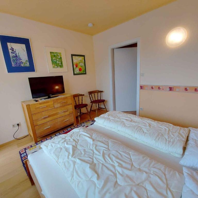 Apartment in Bad Mitterndorf - Steiermark 36993 - Apartment - 15