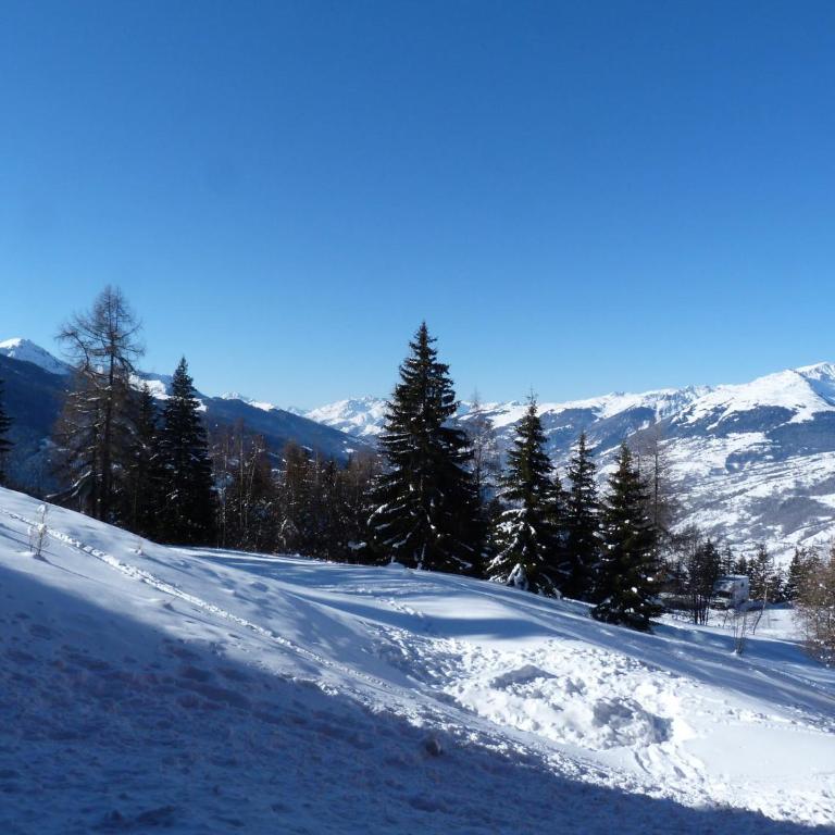 Charmant 2 pièces 6 pers. aux Arcs 1800, proche pistes et commerces, animaux admis - FR-1-411-21 - Appartement - 2