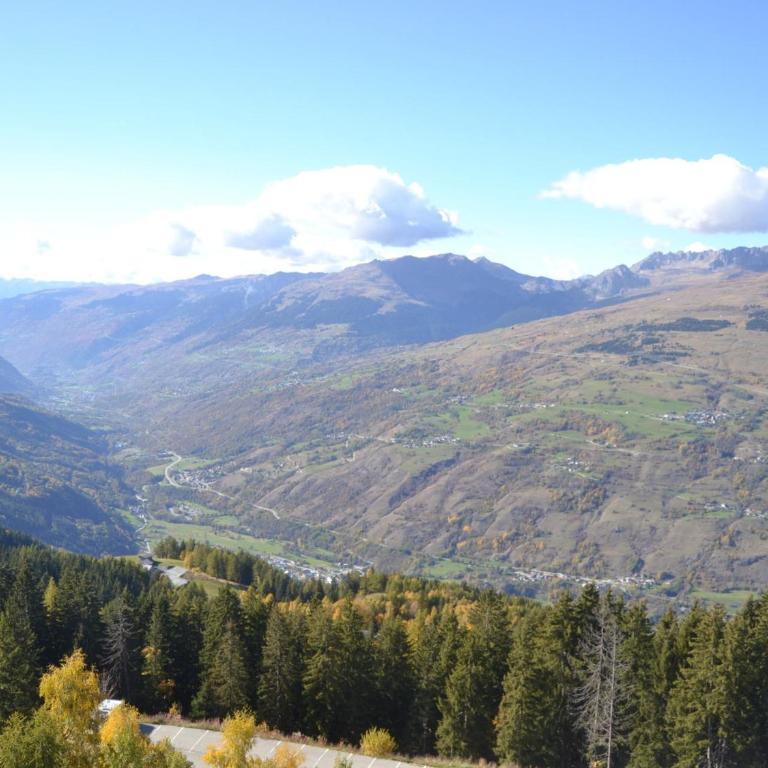 Charmant 2 pièces 6 pers. aux Arcs 1800, proche pistes et commerces, animaux admis - FR-1-411-21 - Appartement - 3