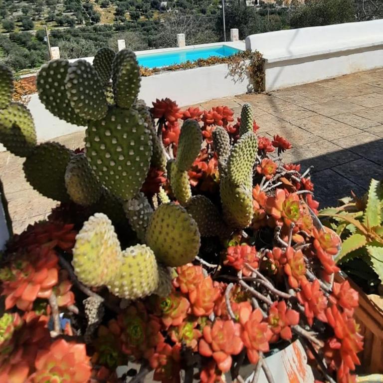 TRULLO PIETRAPOESIA - Casa con 3 Camere da Letto - 53