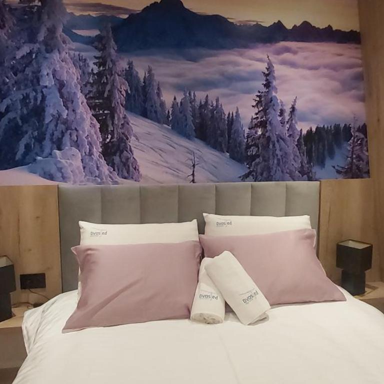 DVOSJED LUXE apartmani Jahorina - One-Bedroom Apartment - 31