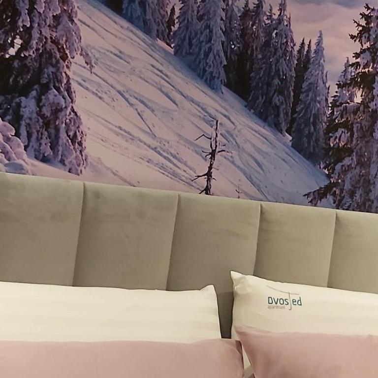DVOSJED LUXE apartmani Jahorina - One-Bedroom Apartment - 36