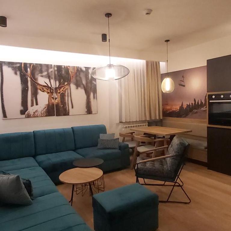 DVOSJED LUXE apartmani Jahorina - One-Bedroom Apartment - 44