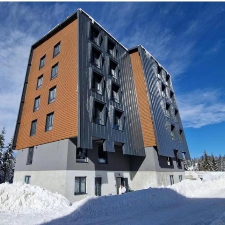 Apartman Lenka Villa Mont Jahorina - One-Bedroom Apartment - 16