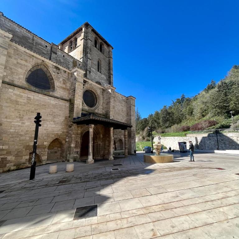 AtuaireHome Mirador de Saldaña en pleno centro histórico - Apartamento de 1 dormitorio - 13