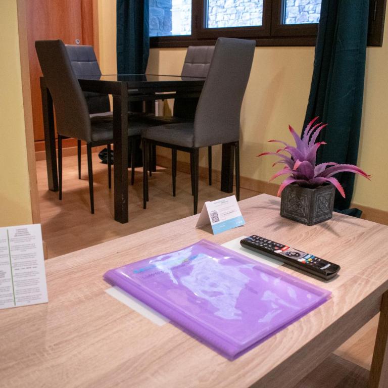 Apartamentos Princesa Park 3000 - Estudio - 9