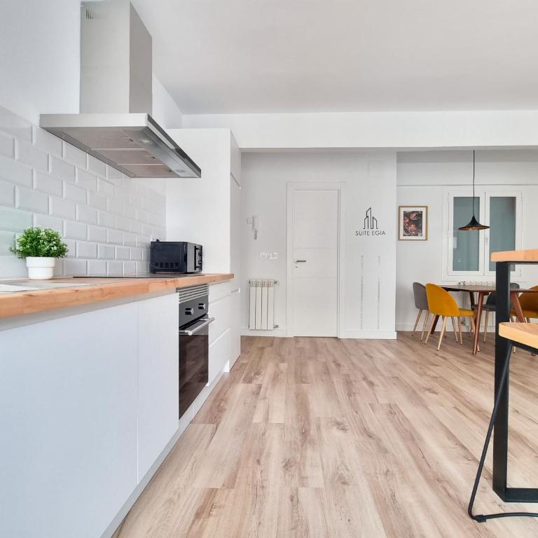 SUITE EGIA APARTMENT san sebastian donostia - Apartment mit 2 Schlafzimmern - 11