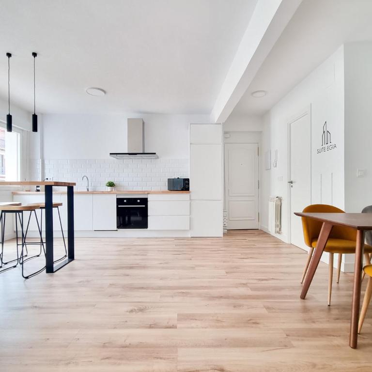 SUITE EGIA APARTMENT san sebastian donostia - Apartment mit 2 Schlafzimmern - 9