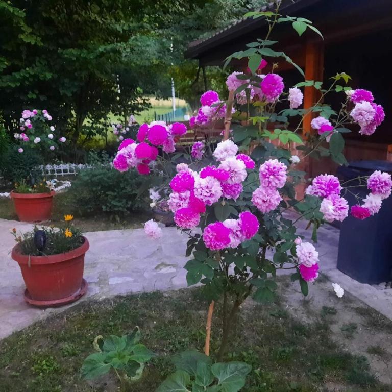 Live Nature - Three-Bedroom Townhouse - 23