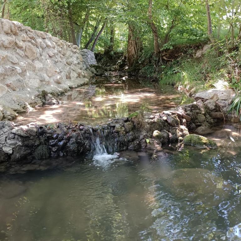 Live Nature - Three-Bedroom Townhouse - 15