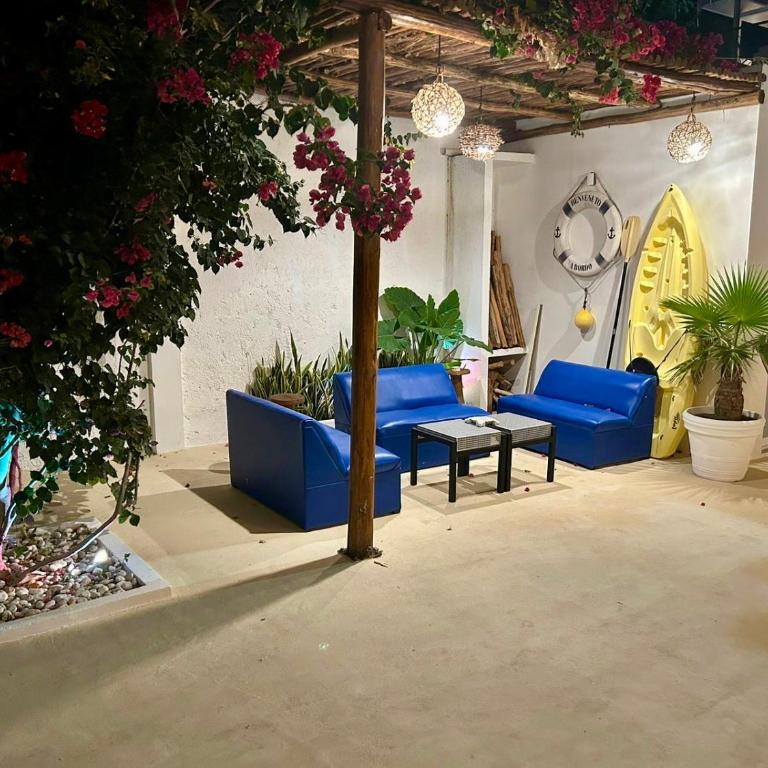 Suites SanRey - Deluxe Double Studio - 13