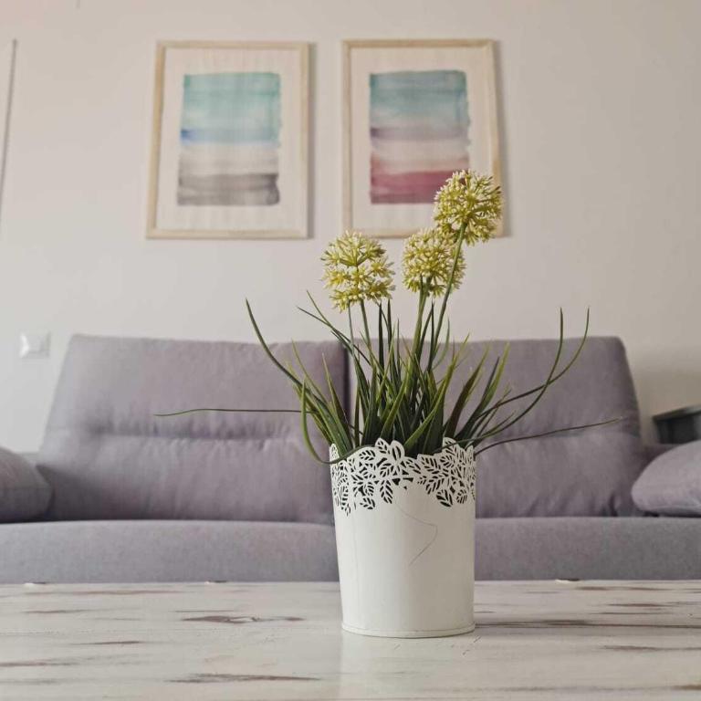 Las Gaviotas B9 - Apartamento - 12