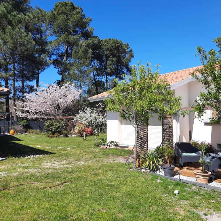 Les Amandiers - Appartement 1 Chambre - 2