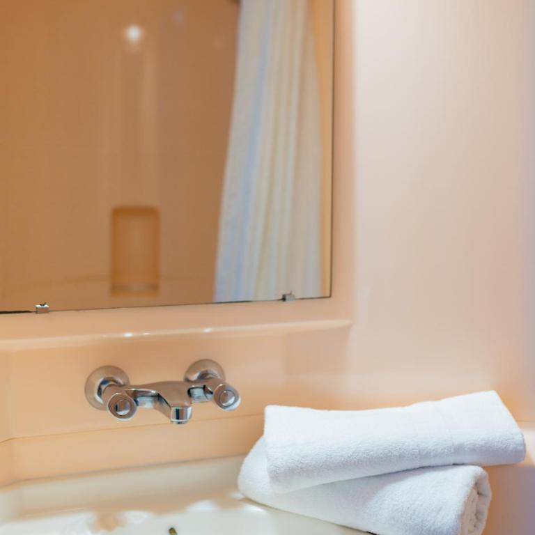 Hotel Cerise Nancy - Chambre Double - 13