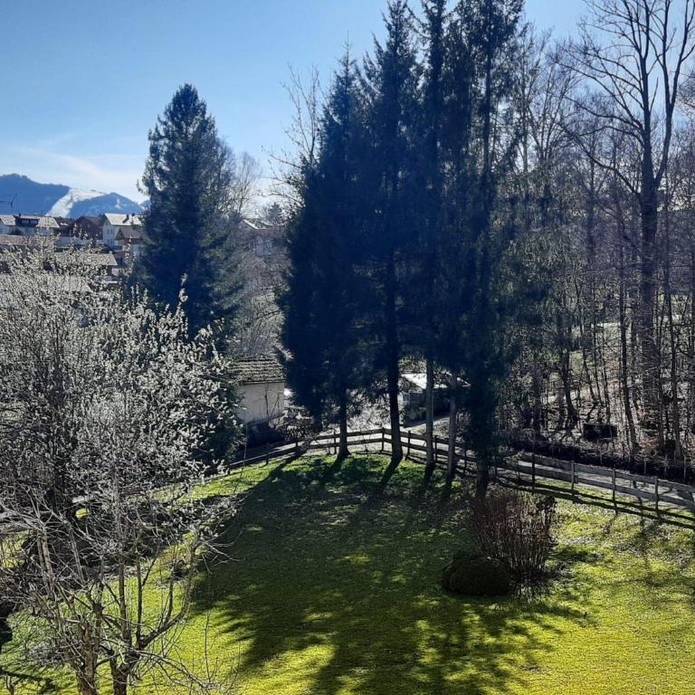 Ferienwohnung Schöne Auszeit - Apartamento de 1 dormitorio - 20