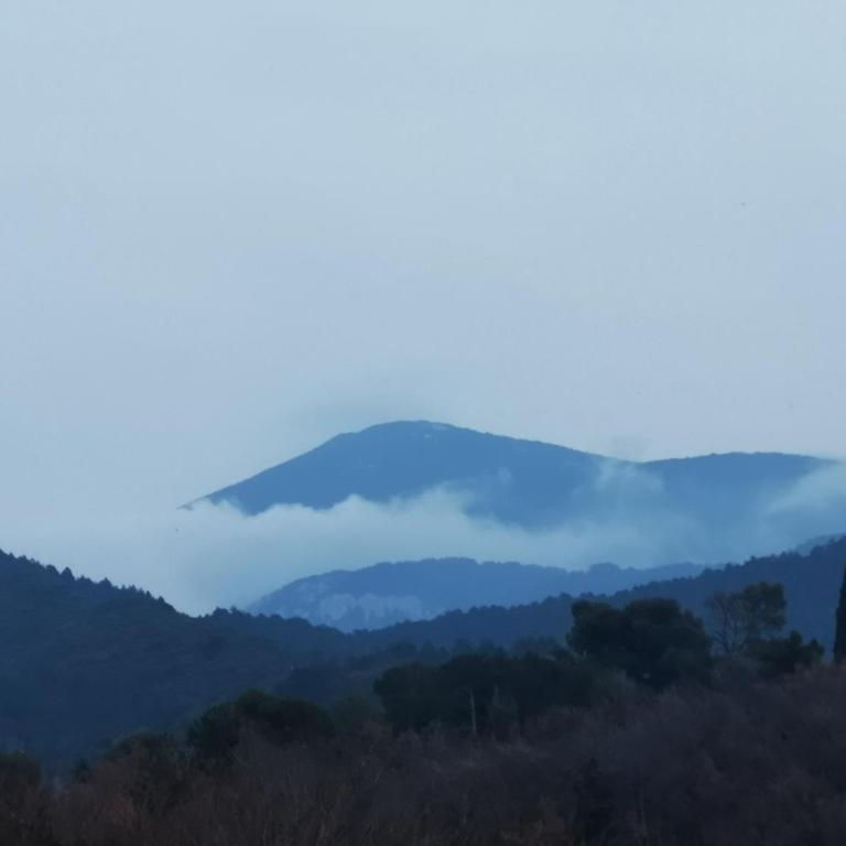 Le Silence Du Ventoux - Appartamento con 2 Camere da Letto - 16