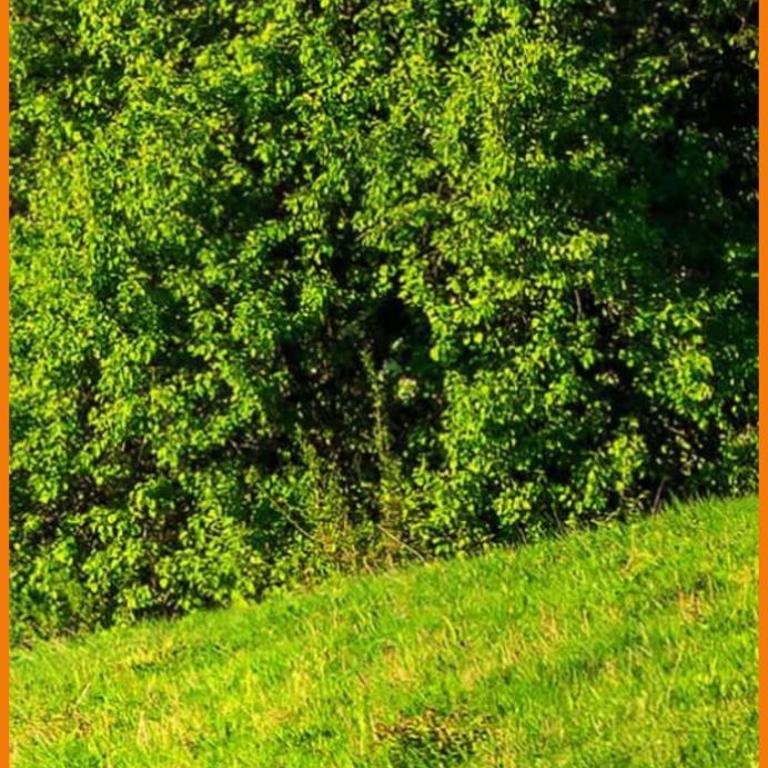 Soavis flat & Garden - Villa con 2 Camere da Letto - 26