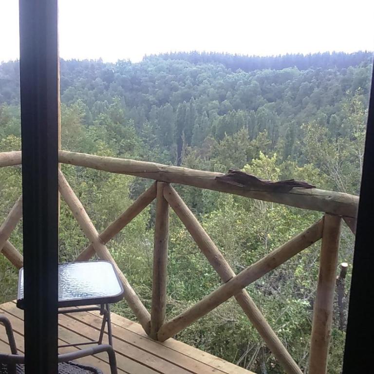 Turismo El Recodo, cabañas y camping - Casa con 1 dormitorio - 3